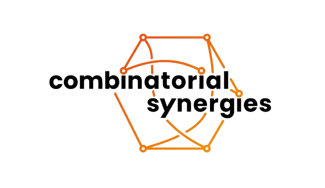 SPP 2458 Combinatorial Synergies